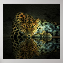 Leopard Poster posters