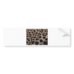 Leopard Print Background Bumper Stickers