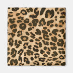 Leopard Print Background magnets