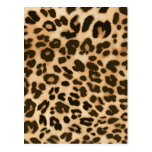 Leopard Print Background Postcards