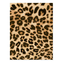Leopard Print Background Postcards