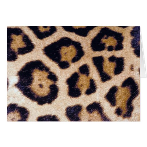 Leopard Print Big Cat Real Fur Pattern Design Card Zazzle