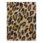 Leopard Print Postcards