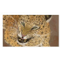 LEOPARD profile cards by dawnmcininch LEOPARD profile cards