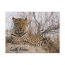 Leopard resting on a mound postcards