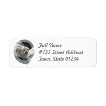 Leopard Seal Return Address Mailing Label