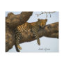 Leopard sitting in a tree postcards