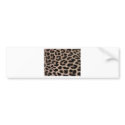 Leopard Skin background bumper stickers by Ravenspark79 Leopard Skin background bumper stickers