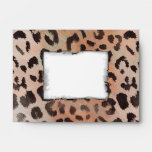 Leopard Skin in Tangerine Apricote envelopes
