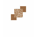 Leopard Skin Retro T-Shirt
