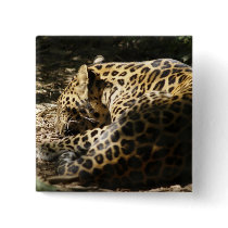 Leopard Square Button by FNolan Leopard Square Button