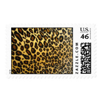 leopard stamps