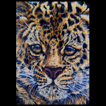 leopard tea shirt