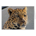 Leopard Template Card by postcardsfromtheedge Leopard Template Card