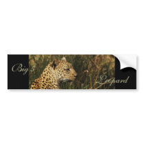 Leopard wild animal bumper stickers (big 5 cats) bumper stickers by Rowood Leopard wild animal bumper stickers (big 5 cats) bumper stickers