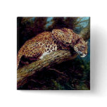 leopard wild cat animal antique painting buttons