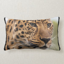 Leopard Wild Cats pillows