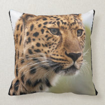 Leopard Wild Cats pillows