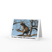 Leopard Yawns While Sitting on a Tree Limb cards