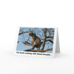 Leopard Yawns While Sitting on a Tree Limb cards
