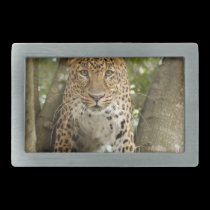 LeopardCheetaro004 belt buckles