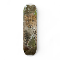 LeopardCheetaro004 skateboards