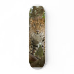 LeopardCheetaro004 Skateboards