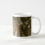 LeopardCheetaro006 Coffee Mugs