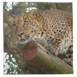 LeopardCheetaro007 Napkins