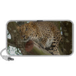 LeopardCheetaro007 PC Speakers