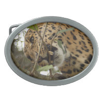 LeopardCheetaro008 belt buckles