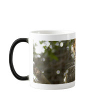 LeopardCheetaro009 mugs by BCRcats LeopardCheetaro009 mugs