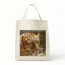 LeopardCheetaro011 bags by NatureByDesign LeopardCheetaro011 bags