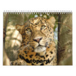 LeopardCheetaro013, Leopard Calendars