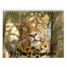 LeopardCheetaro013, Leopard Cheetaro Wall Calendar