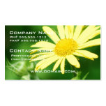 Leopard's Bane Business Card
