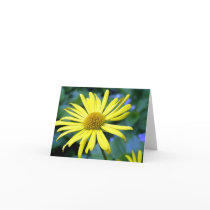 Leopard's Bane Note Card