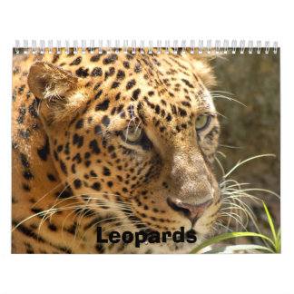Leopard Calendars | Zazzle
