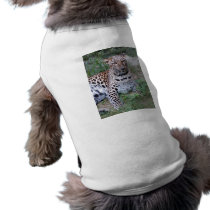 LeopardSundari_002 pet clothing by BCRcats LeopardSundari_002 pet clothing