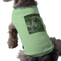 LeopardSundari_002 pet clothing by NatureByDesign LeopardSundari_002 pet clothing