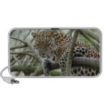 LeopardSundari_004 Speaker System