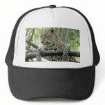 LeopardSundari_006 Mesh Hats
