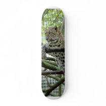 LeopardSundari_006 skateboards