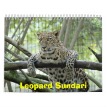 LeopardSundari_008, Leopard Sundari calendars
