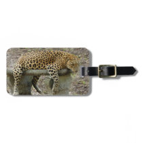LeopardSundari_010 luggage tags