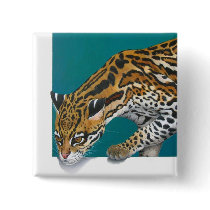 Leopardus pardalis buttons
