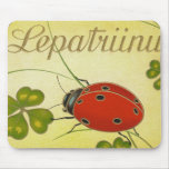ladybugs, lepatriinu, estonian, estonia, estonian