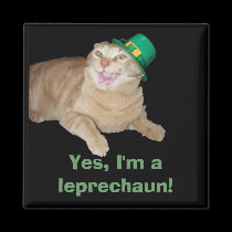 Leprechaun Cat Magnet magnets