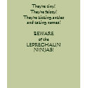 Leprechaun Ninjas! t-shirts