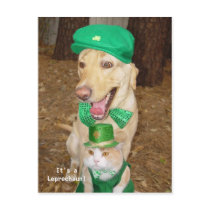 Leprechaun Sighting! postcards by myrtieshuman Leprechaun Sighting! postcards
